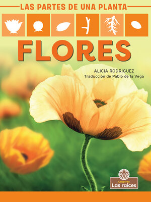 cover image of Flores (Flowers)